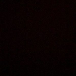 Meet your Posher, Shawn